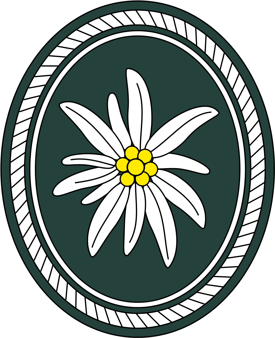 Bundeswehr Gebirgsjäger Abzeichen (1200x1462)