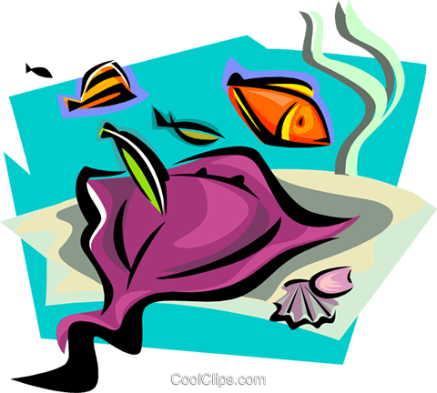 Aquatic Design With Manta Ray Royalty Free Vector Clip - Barrier Reef Clip Art (480x432)