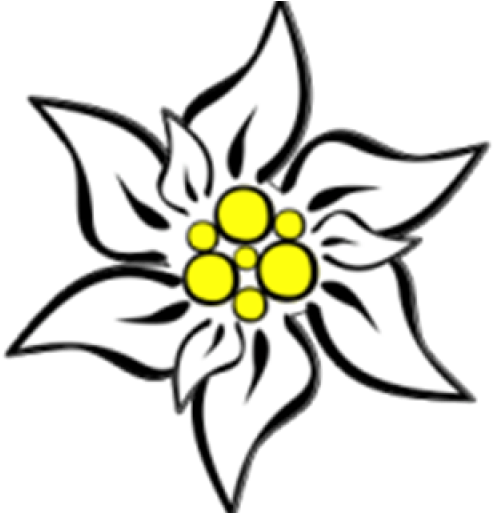 Cropped Edelweiss Kukka - Edelweiss Flower Clip Art (512x512)