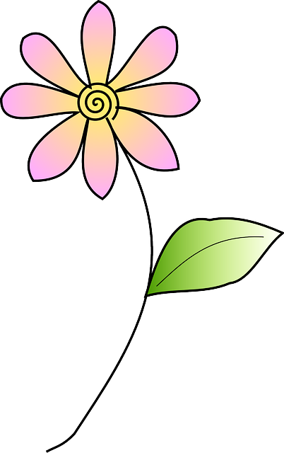 Plant Flower, Blossom, Spring, Plant - Clip Art (402x640)
