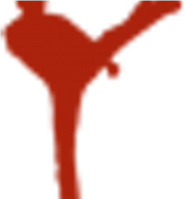 Fake Chuck Norris - Fake Chuck Norris (400x400)