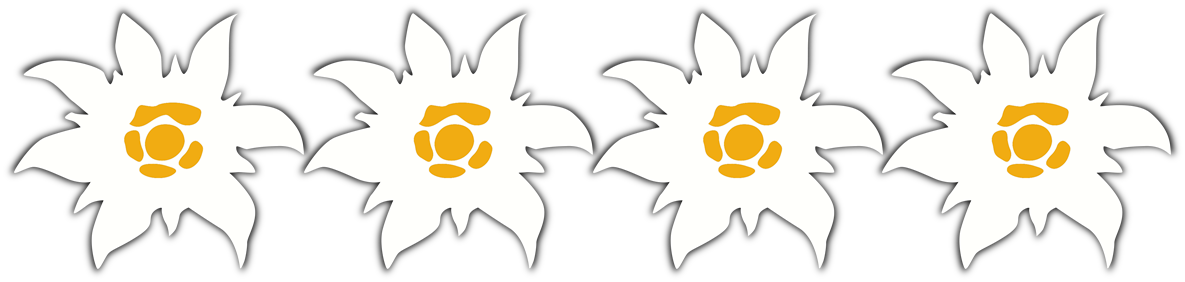 Höchste Bewertung Vom Verband Der Kärntner Privatvermieter - Illustration (1185x282)