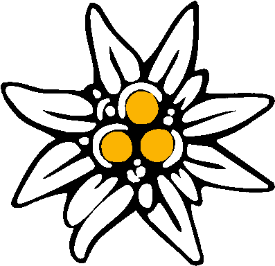 Un Résumé Donné Par Paquet Pour Le T2 - Sunflower (428x410)
