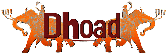 Gypsies Of Rajasthan - Dhoad (585x313)