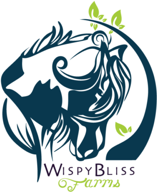 We Are - Gypsy Horse (400x400)