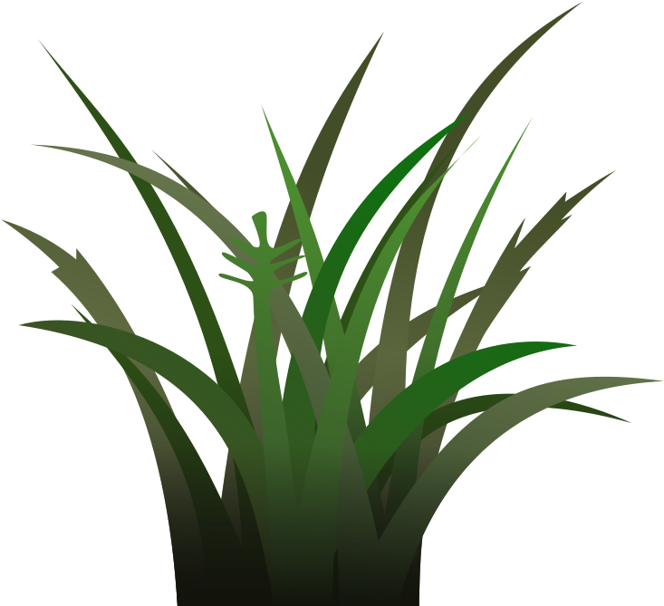 Free Dark Grass Shaded - Vegetation Clipart (800x800)