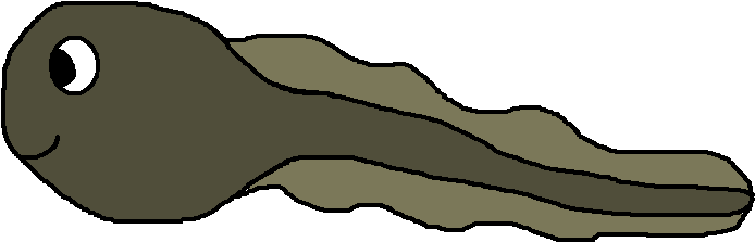Cute Sea Life Clipart - Tadpole Clipart (706x261)