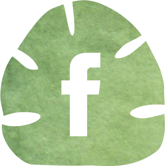 Instagram - Palm Beach (833x833)