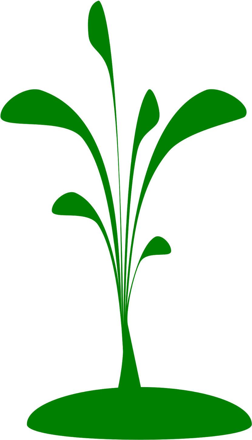 4) Grassy Looking Curves With Corner Node Tips, 5) - 4) Grassy Looking Curves With Corner Node Tips, 5) (1600x1600)