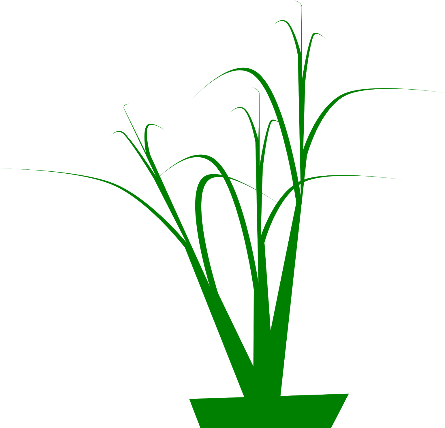 4) Grassy Looking Curves With Corner Node Tips, 5) - 4) Grassy Looking Curves With Corner Node Tips, 5) (1600x1600)