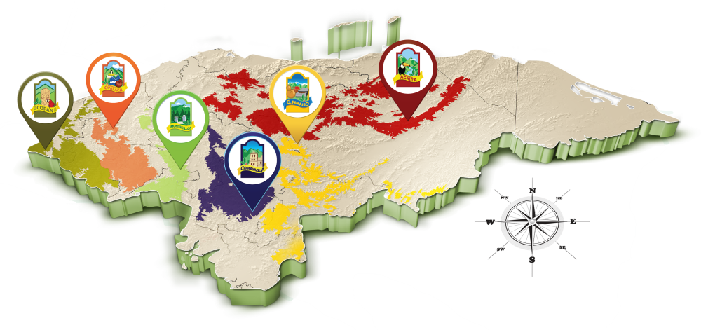 Honduran Coffee Growing Regions - Honduras Coffee Regions (1000x471)