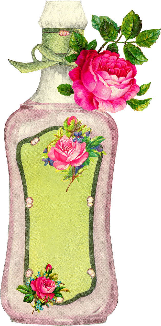 Beauty Rose Bottle Blank Label Image - Garden Roses (801x1600)