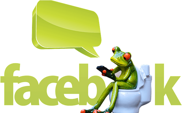 Die Facebook Affäre - Taking A Poop Reading Material (640x381)