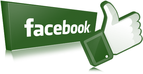 Follow Us - Soft And Cuddly, Mumbles Chubby Honey Bear - (little (499x281)