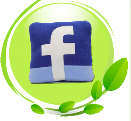 16 X 16 Facebook Cushion - Pillow (800x800)