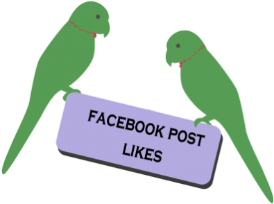 About This Service - Lovebird (418x313)