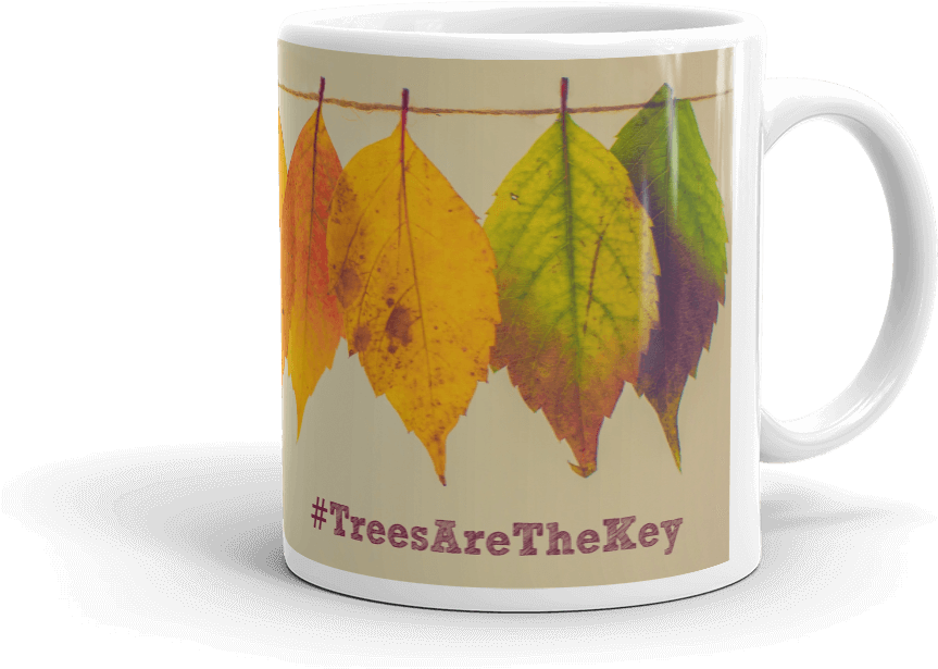 Colour Leaf Mug - Coffee Cup (1000x1000)
