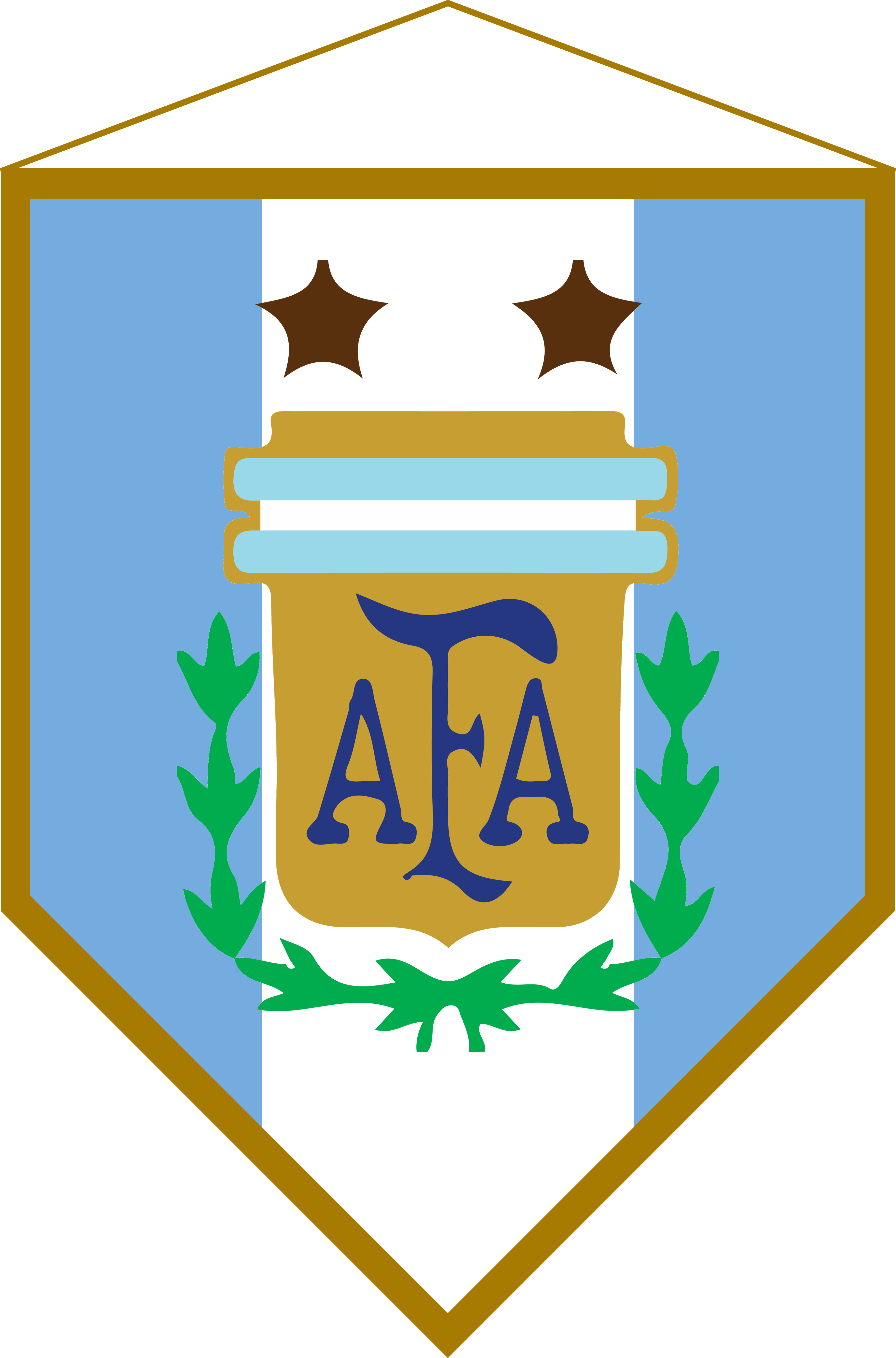 Logo Banderín Argentina - Argentina National Football Team (3647x5527)
