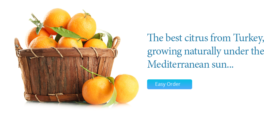The Best Citrus From Turkey, Orange, Lemon, Mandarin - Citrus (919x392)