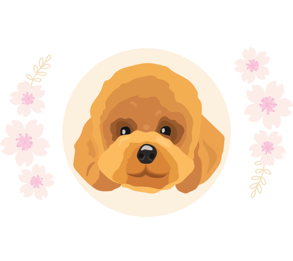 Sakura La Dog Grooming Salon - Sakura La Dog Grooming Salon (1000x890)