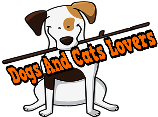 Dogs And Cats Lovers - Cartoon (580x372)