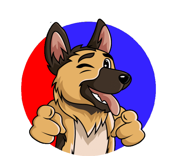 We Provide World Class Dog Training Class Instruction - Dog Training (640x561)