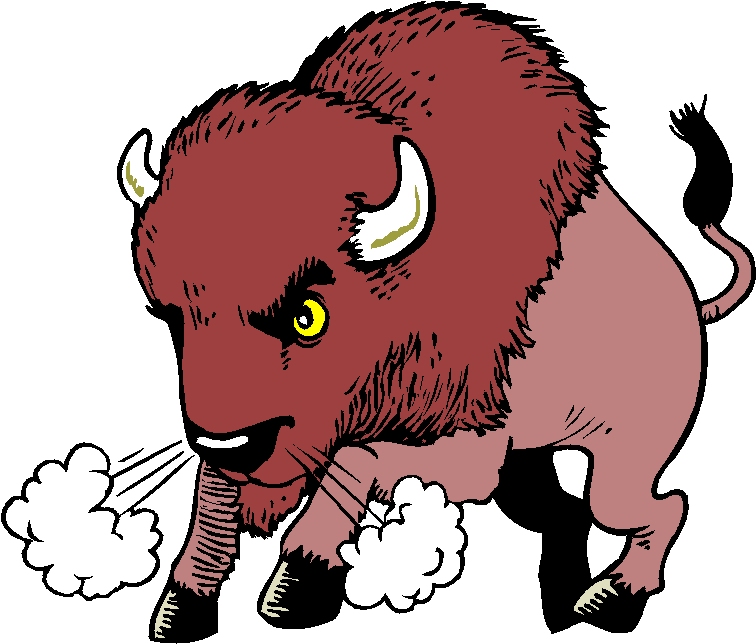 Manitoba Bison - Baker High School Baton Rouge (766x653)