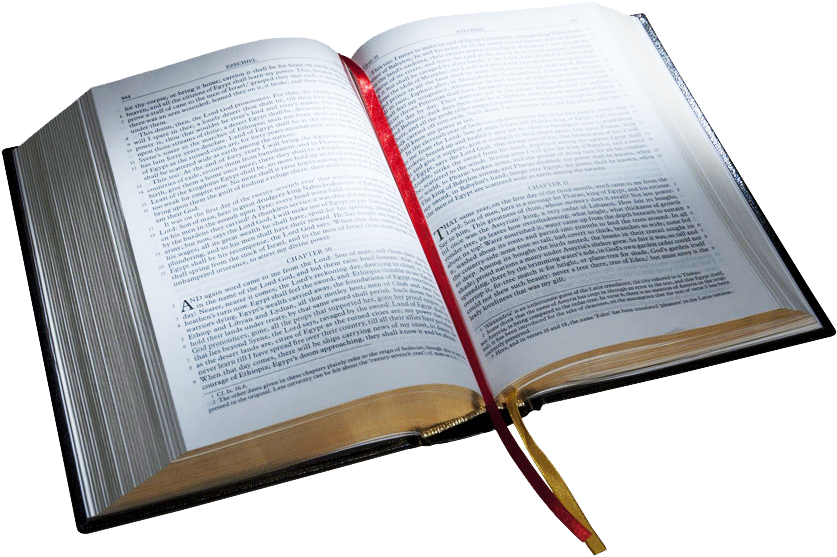 Open Water For Kids - Bible Png (850x565)