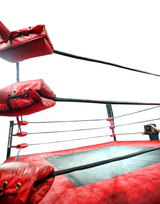 Wrestling Ring Psd - Ring De Luta Png (315x400)