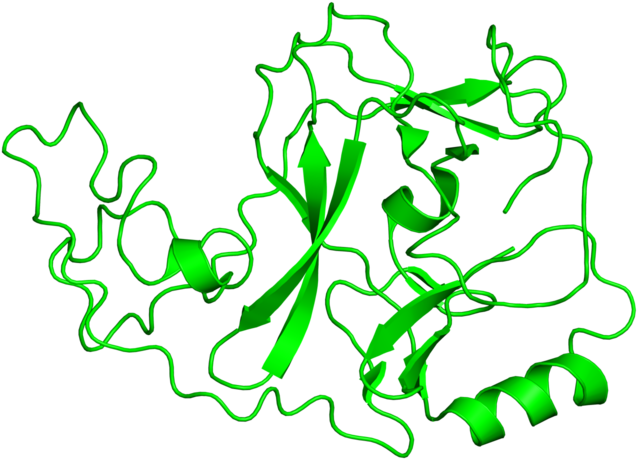 <div Class='caption-body'>1 Copy Of Cath Domain < - <div Class='caption-body'>1 Copy Of Cath Domain < (800x800)