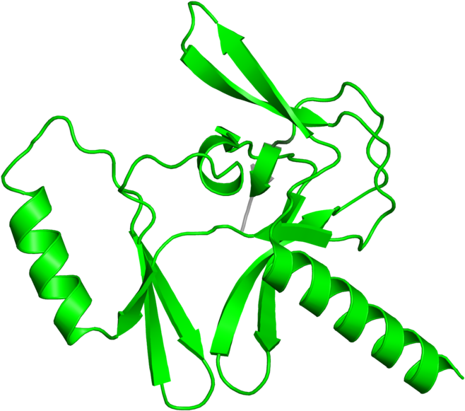 <div Class='caption-body'>1 Copy Of Cath Domain < - <div Class='caption-body'>1 Copy Of Cath Domain < (800x800)