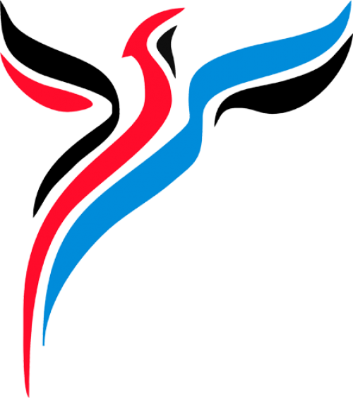 Congress Of The New Right Kongres Nowej Prawicy - Congress Of The New Right (500x563)