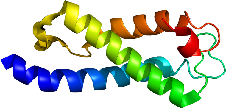 Protein Data Bank (808x412)