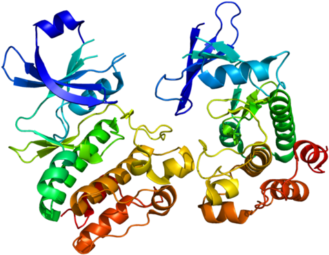 Available Structures - Anti Mullerian Hormone Structure (500x393)