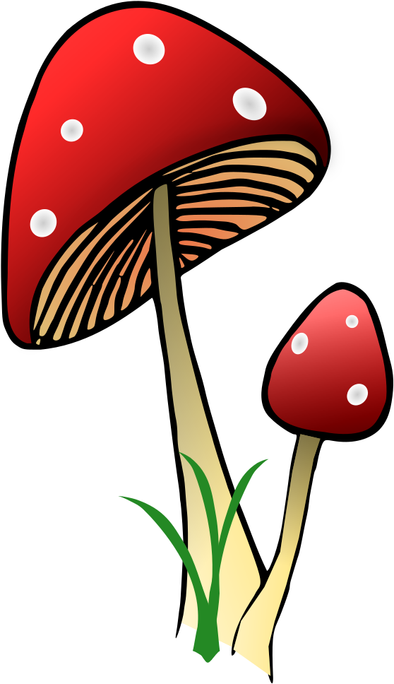 Red And White Mushrooms - Red (608x1000)