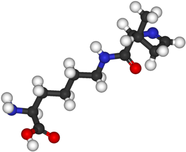 Pyrrolysine 3d Balls - Pyrrolysine (400x333)