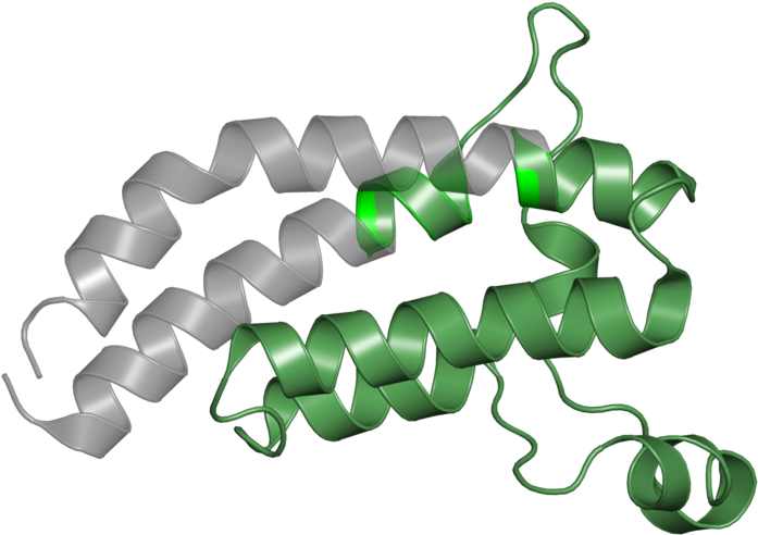 <div Class='caption-body'>1 Copy Of Pfam Domain - Chain-link Fencing (800x800)