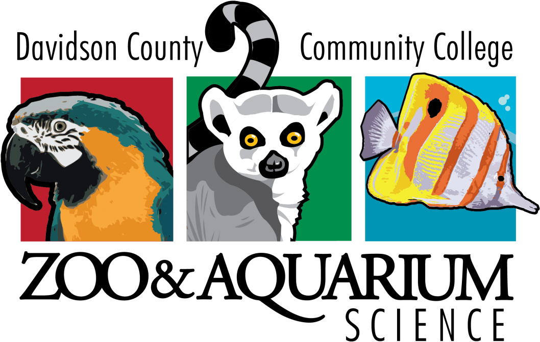 Aquarium Clipart Zoo - Dccc Zoo Aquarium Science Program (1200x729)