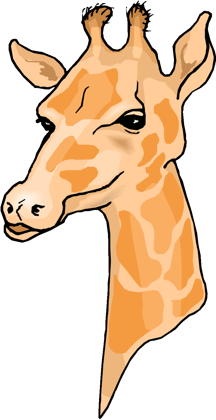 Giraffe 0 Images About Clip Art Zoo Jungle Animals - Giraffe Dog Tag (750x1456)
