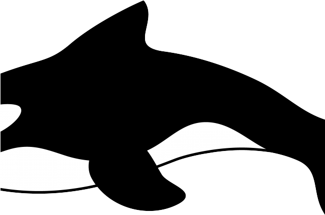 Killer Whale Clipart Orca - Clip Art (640x480)