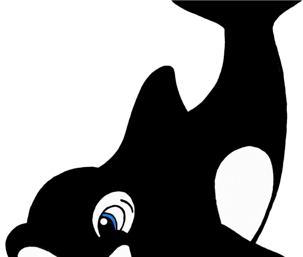 Shamu Coloring Pages 34 Killer Whale With Wallpaper - Killer Whale Cartoon Png (1152x864)