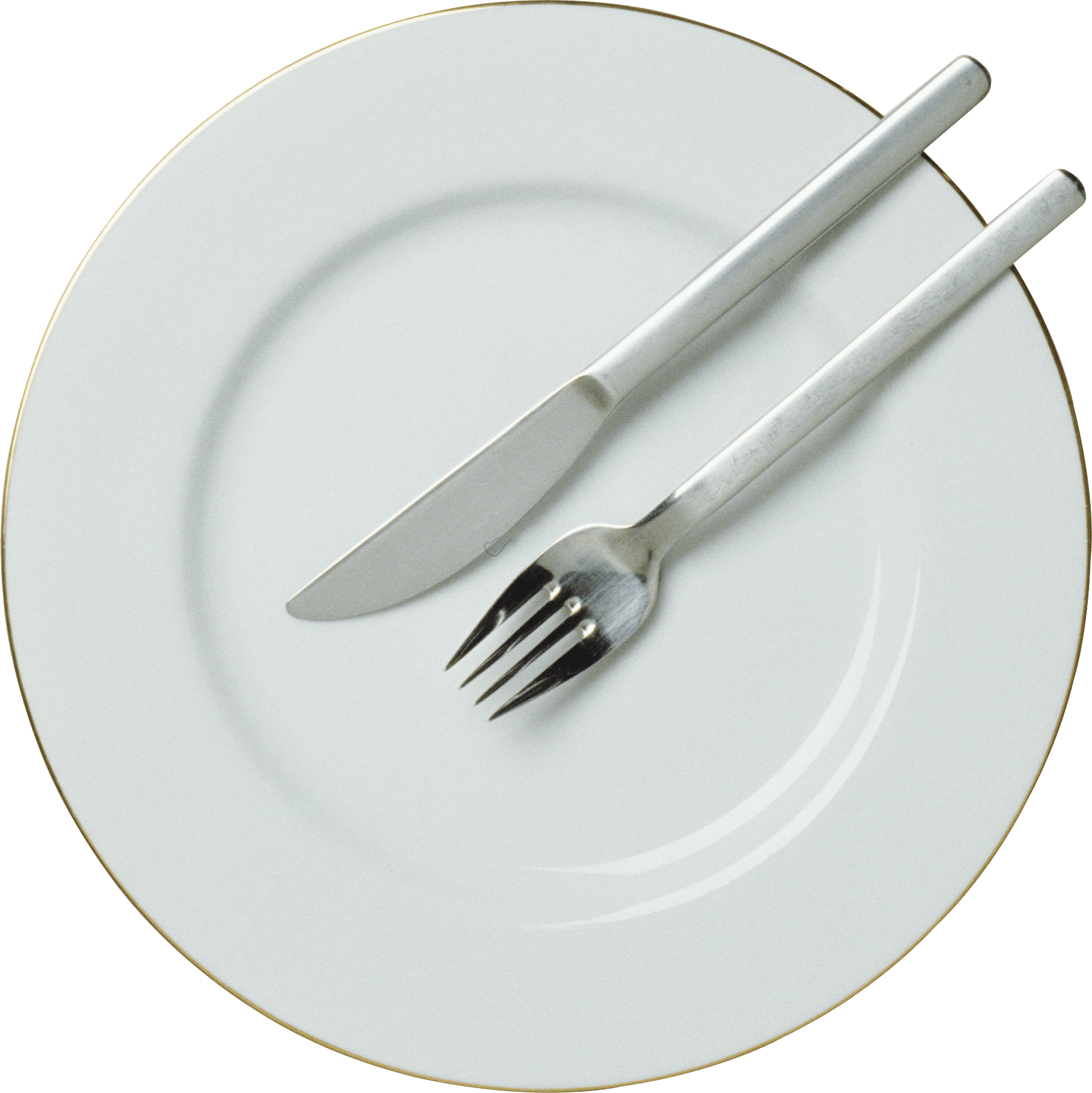 Fork Knife Plate - Living Language Non Connoisseur's Menu Guide: (1826x1827)