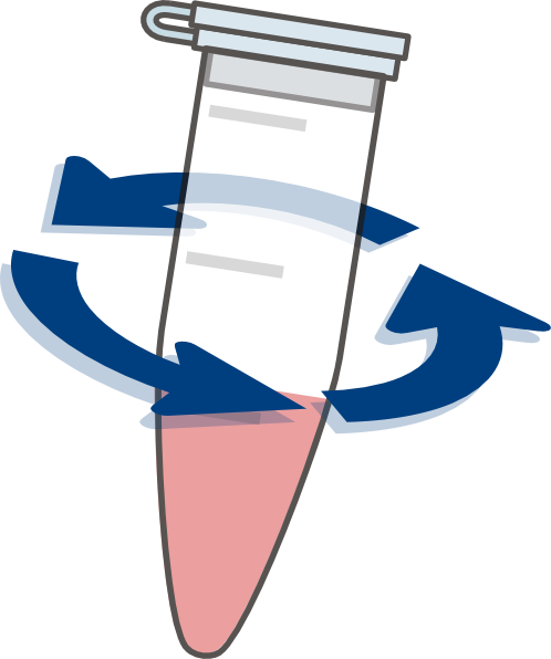 Eppendorf Tube (498x596)