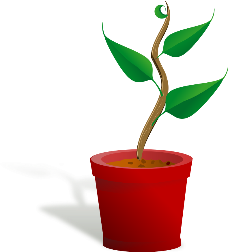 Cereal Plant Clipart, Vector Clip Art Online, Royalty - Growth And Development Png (900x871)