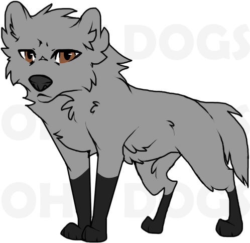 Alex - Dog (500x500)