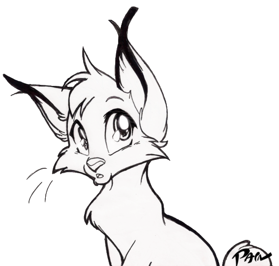 Drawn Hyena Anime - Cartoon Lynx To Draw (567x539)