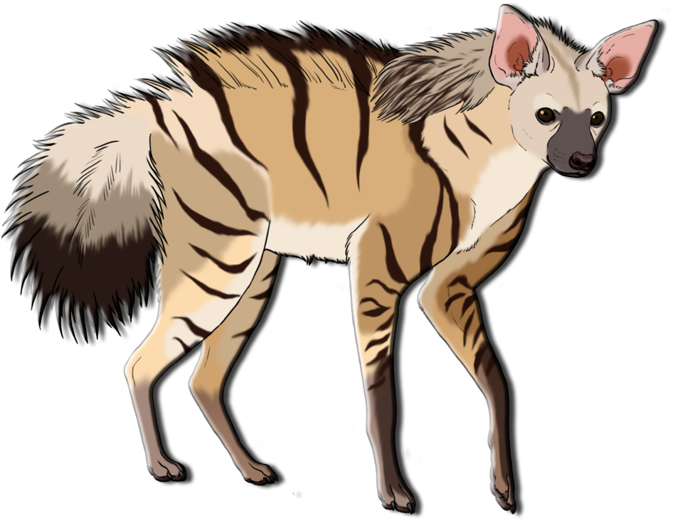 Aardwolf Life Cycle - Animal (961x832)