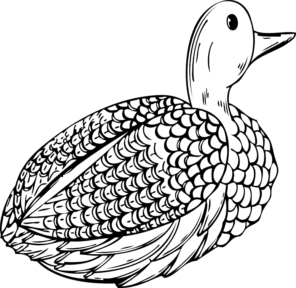Duck Decoy Black White Line Art 999px 305 - Duck Lone Vector (999x973)
