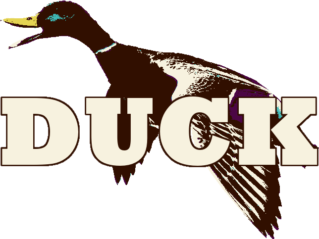 Clan Tag Is [duck] - Mallard (661x494)