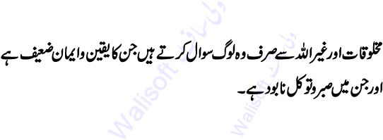 07 2010 05 09 - Hazrat Ali Razi Allah Tala Anhu (600x350)